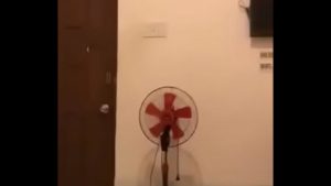 Chịch em gái mới book được giá 200k